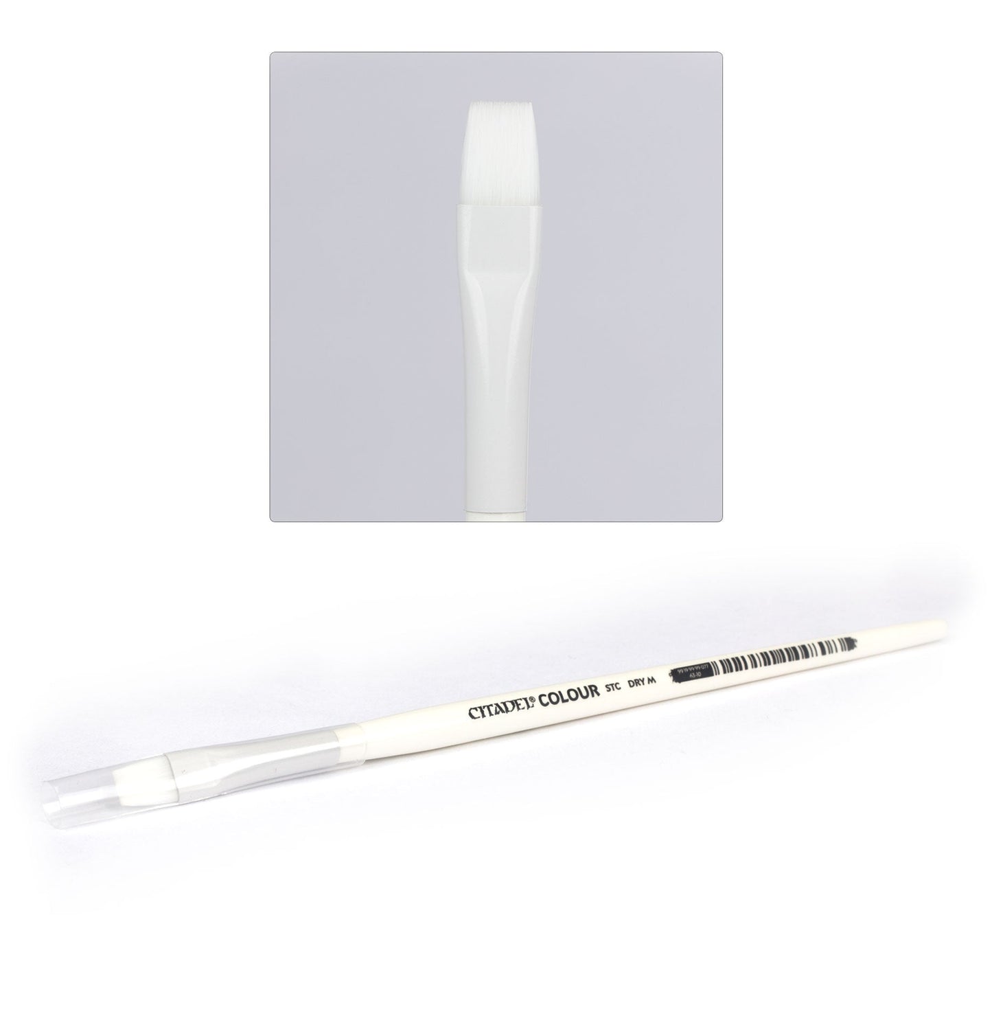 Citadel - Medium Dry STC Brush